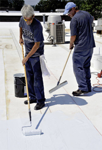 Liquid roof Brush