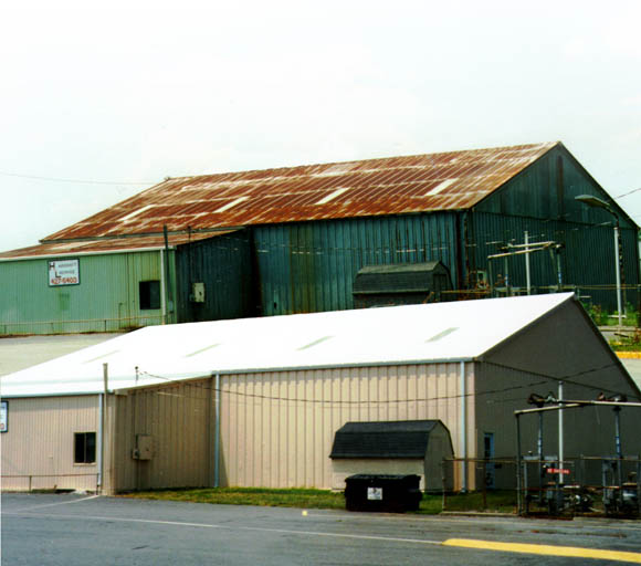 elastomeric paint