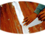roof 
seal
