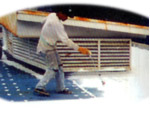 roof 
primer
