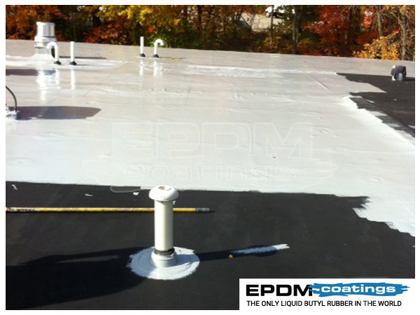 flat_roof_repair_coatings_8.jpg