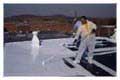 Flat Roof Repair