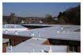 Flat Roof Repair