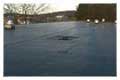 Flat Roof Repair