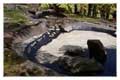 Pond Repair with Liquid Rubber